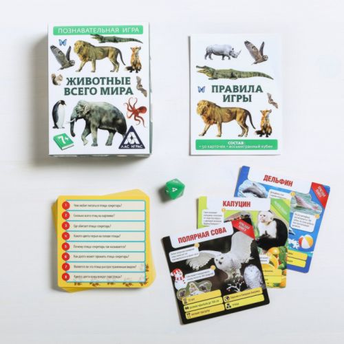Обучающая игра-викторина «Животные со всего света»