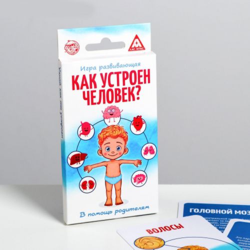 Развивающая игра «Как устроен человек»