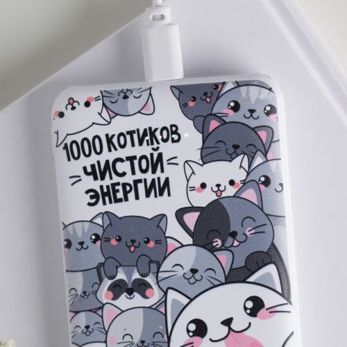 Портативный аккумулятор, «1000 котиков чистой энергии» 5000 mAh, 2 USB-разъёма