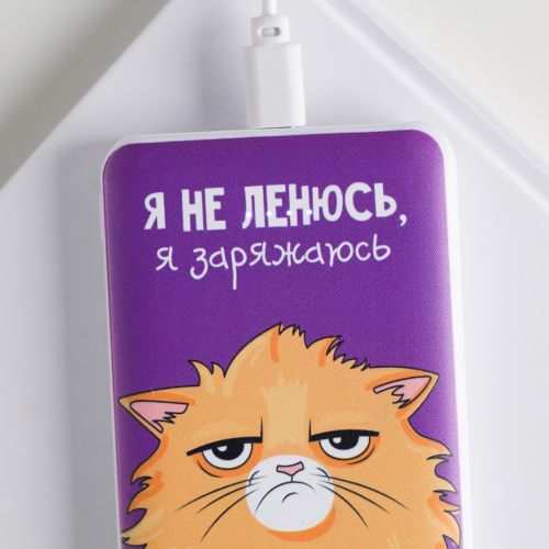 Портативный аккумулятор, «Я не ленюсь» 5000 mAh, 2 USB-разъёма