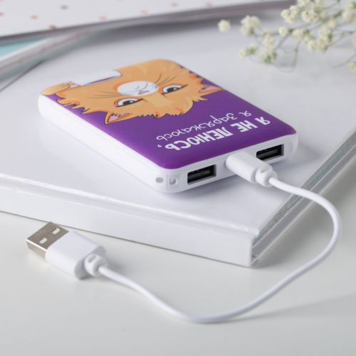 Портативный аккумулятор, «Я не ленюсь» 5000 mAh, 2 USB-разъёма