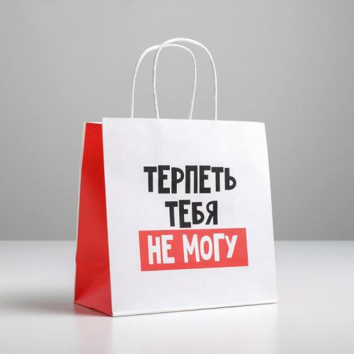 Пакет подарочный «Терпеть тебя не могу»