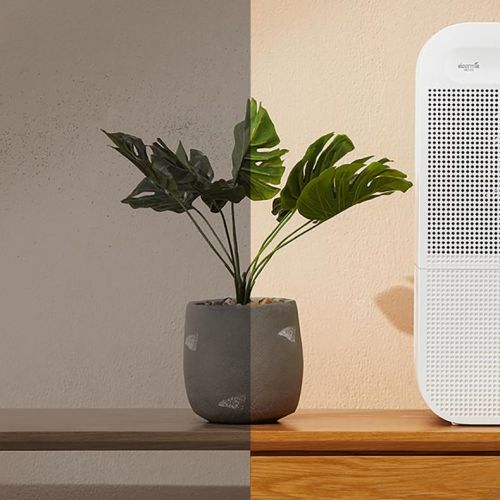 Xiaomi Deerma CT500 Мойка воздуха (Увлажнитель + Очиститель)