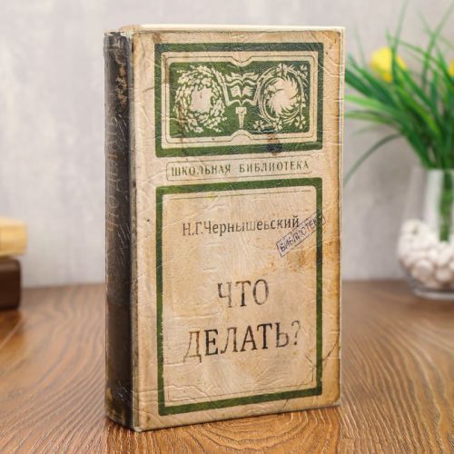 Книга Сейф "Что делать"