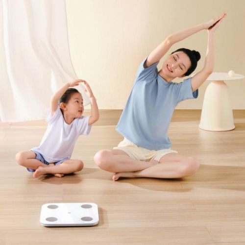 Умные весы Xiaomi Mijia Body Fat Scale S400