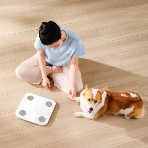 Умные весы Xiaomi Mijia Body Fat Scale S400