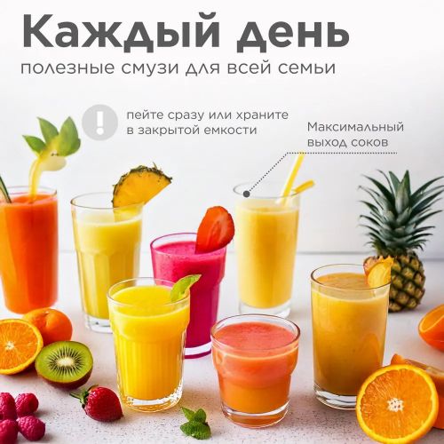 Соковыжималка Silver Crest JH-3028