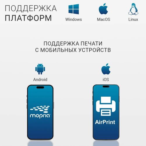 Лазерное МФУ Pantum M6509NW, WiFi,USB,LAN (черно-белая печать)
