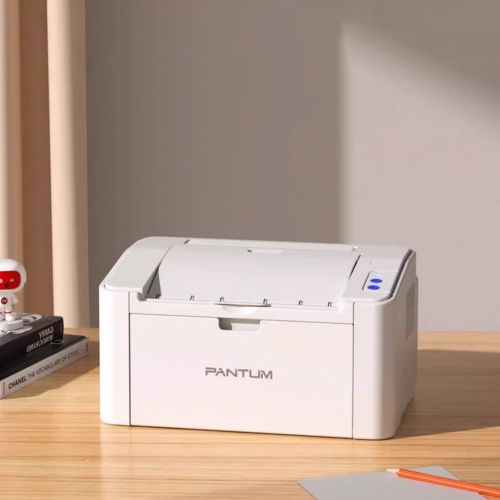 Принтер лазерный черно-белый Pantum P2206W