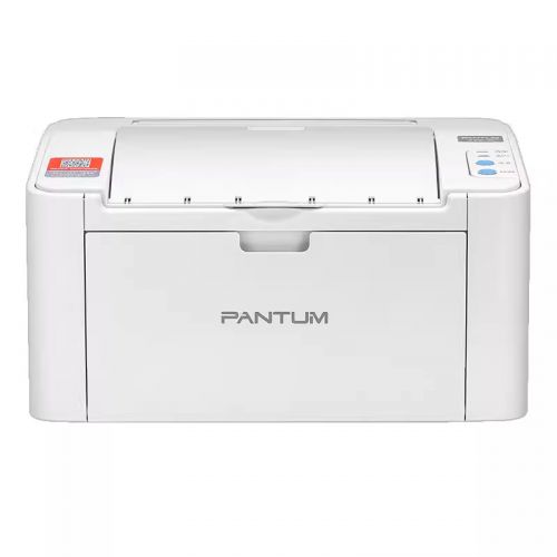 Принтер лазерный черно-белый Pantum P2206W