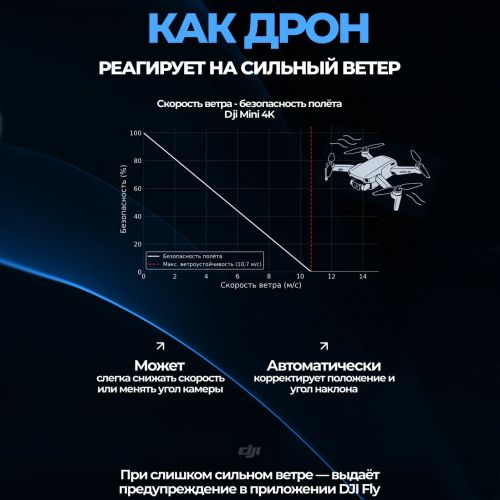 Квадрокоптер DJI Mini 4K (2 Аккумулятора, пульт)