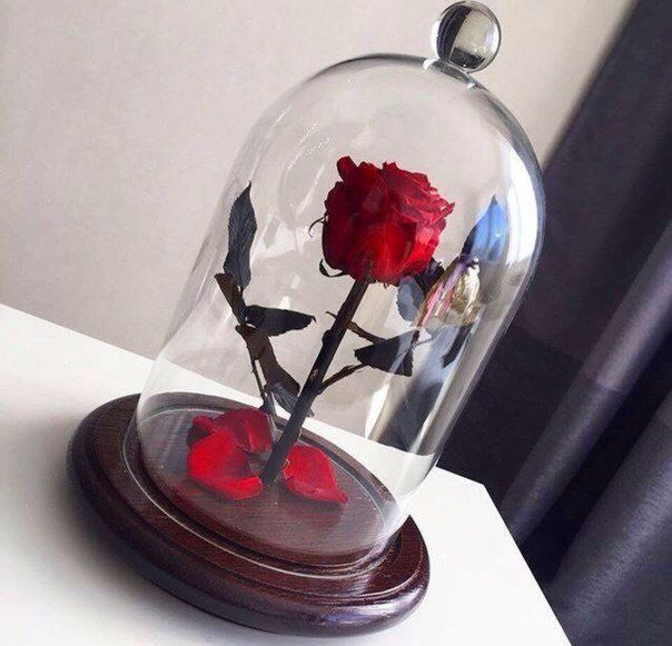 Сколько стоит вечная роза в стеклянной колбе магазин цветов подарков