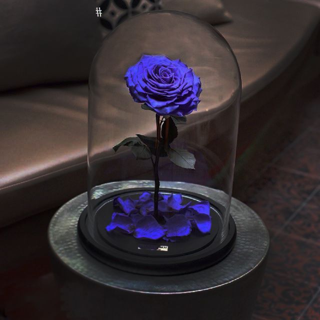 Сколько стоит вечная роза в стеклянной колбе тюльпаны в коробке с доставкой